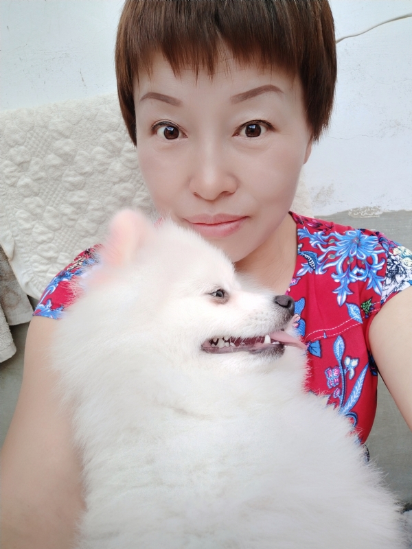 世事无常的第二张照片--陆良王婆说媒